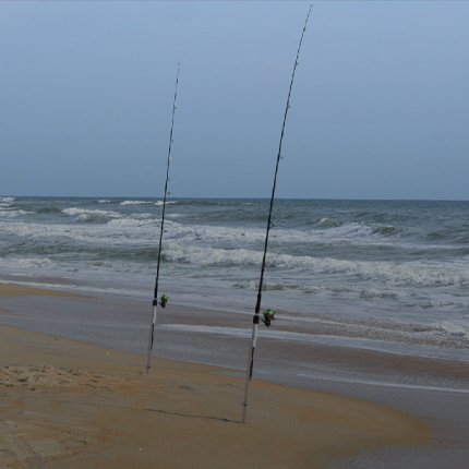 Surf Fishing Rods